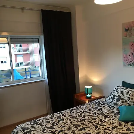 Happy Holi House Apartment
